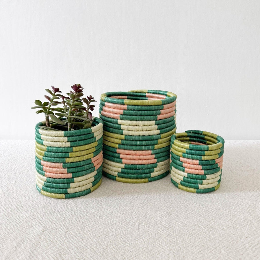 Storage Plant Basket: Misumba - Amsha