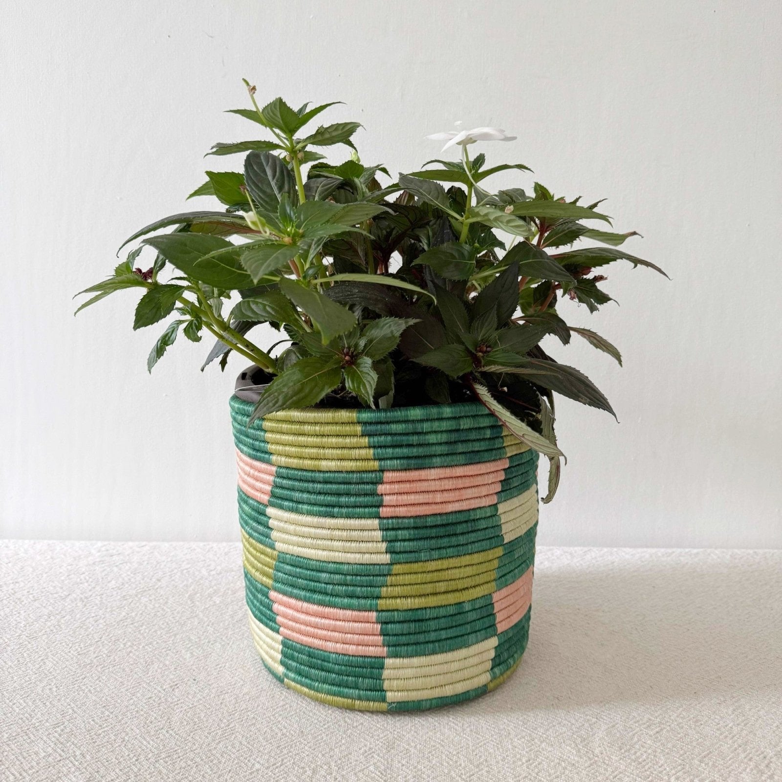 Storage Plant Basket: Misumba - Amsha