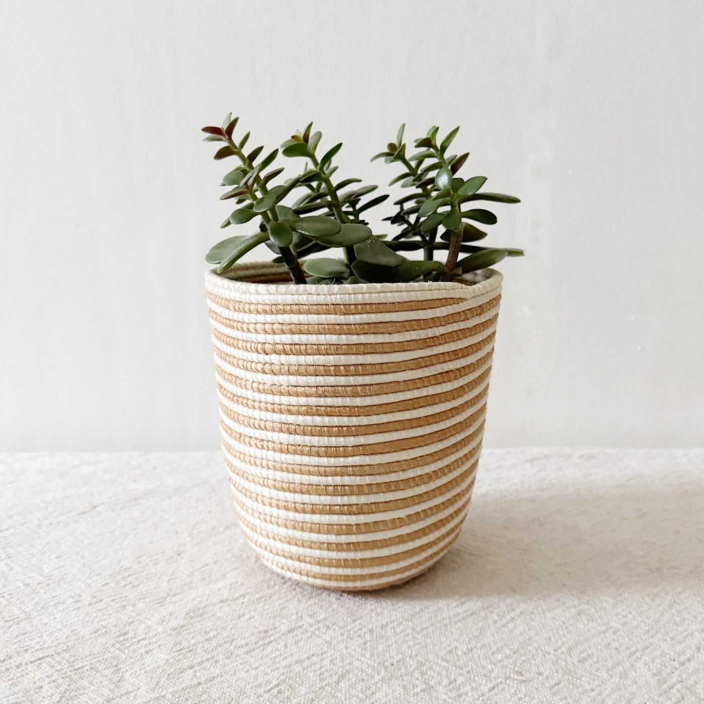 Storage Plant Basket: Mokanga