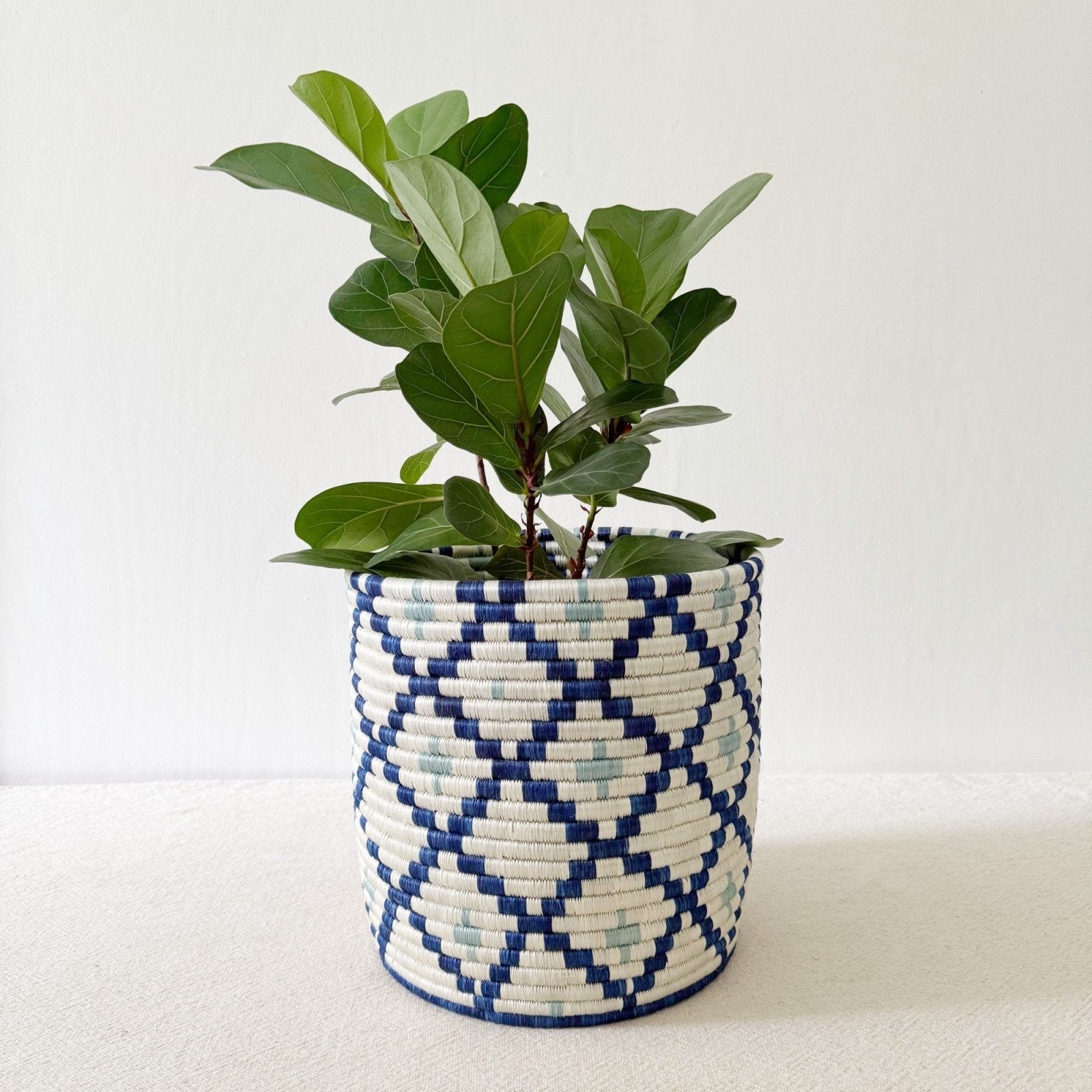 Storage Plant Basket: Musasa - Amsha