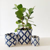 Storage Plant Basket: Musasa - Amsha