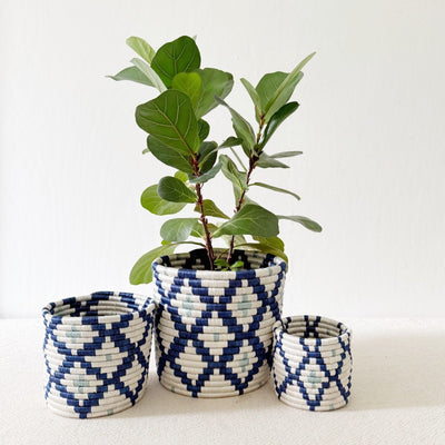 Storage Plant Basket: Musasa - Amsha