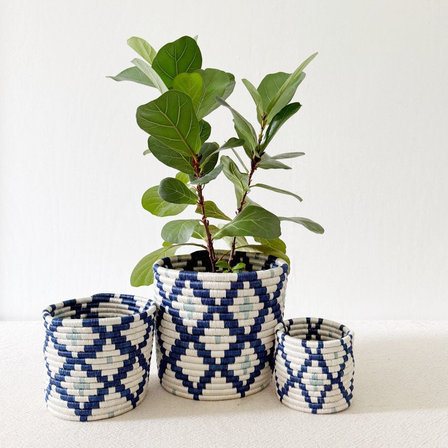 Storage Plant Basket: Musasa - Amsha