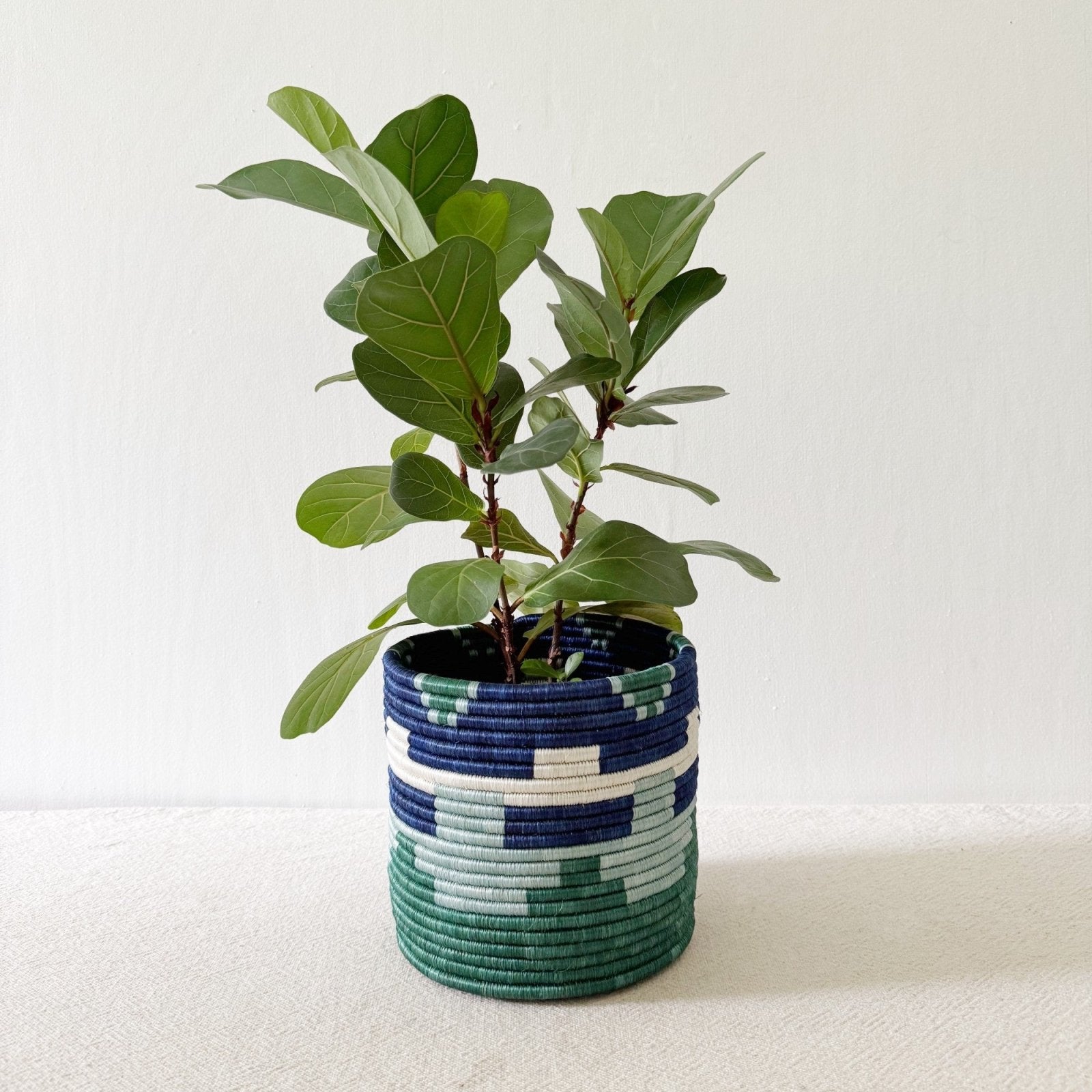 Storage Plant Basket: Mutala - Amsha