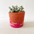 Storage Plant Basket: Mutoyi