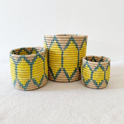 Storage Plant Basket: Ntoto - Amsha