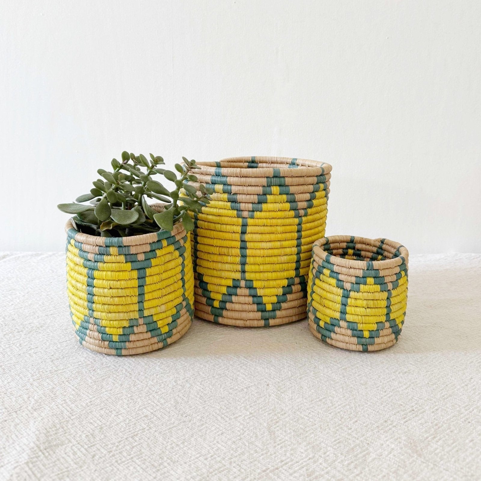 Storage Plant Basket: Ntoto - Amsha