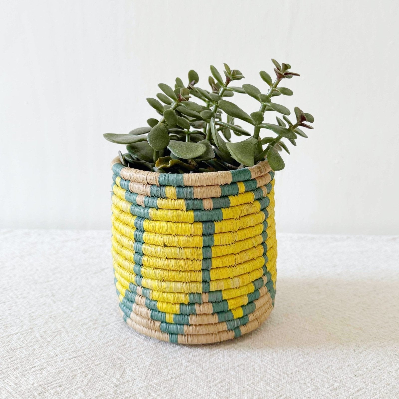 Storage Plant Basket: Ntoto - Amsha