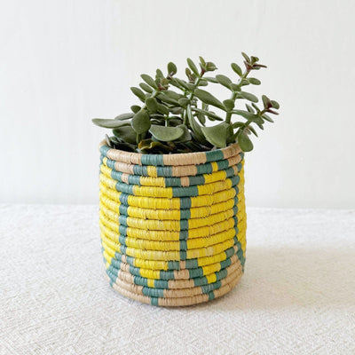 Storage Plant Basket: Ntoto - Amsha