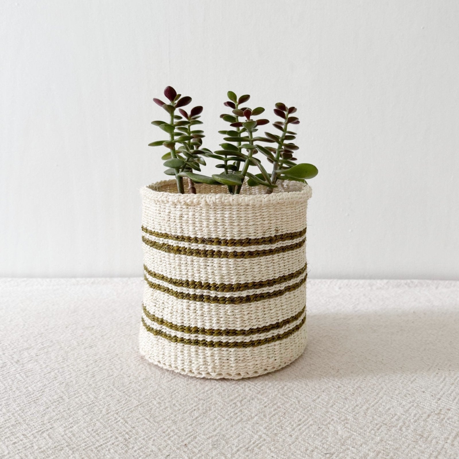 Storage Plant Basket: Olive Stripe - Amsha
