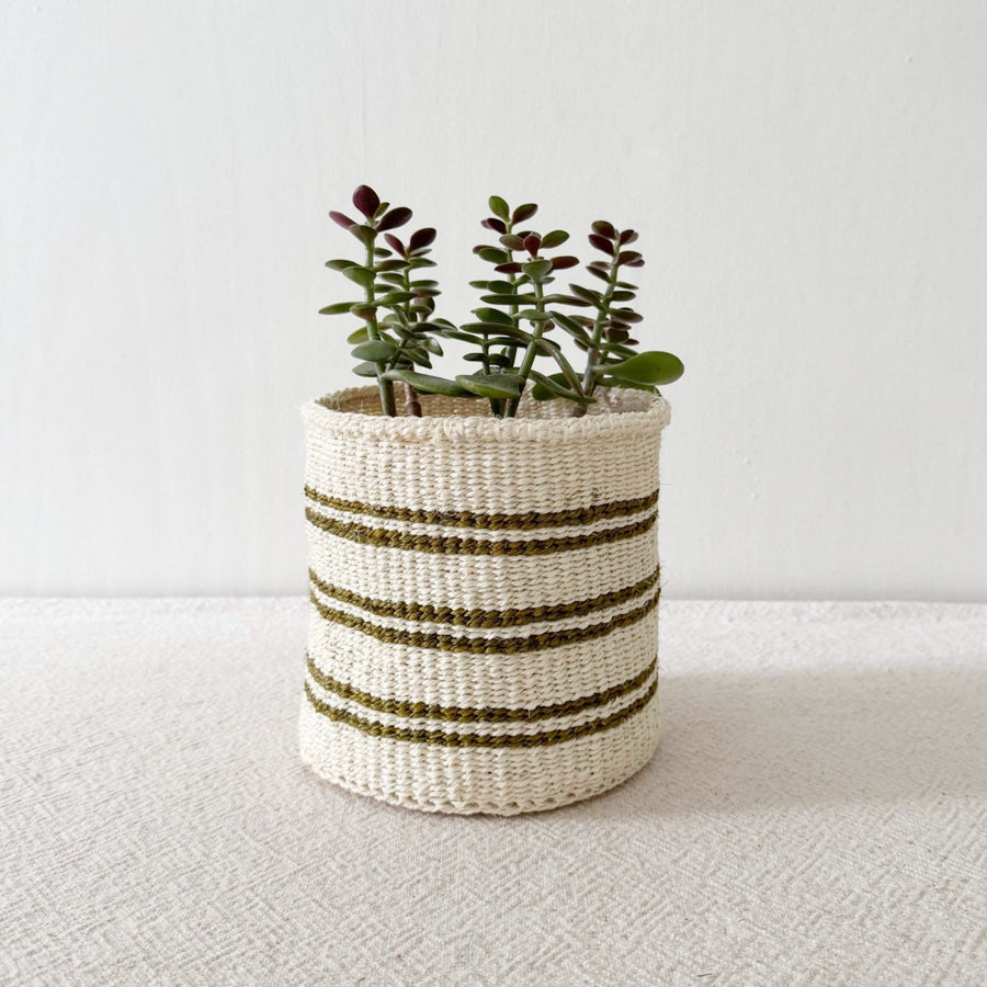 Storage Plant Basket: Olive Stripe - Amsha