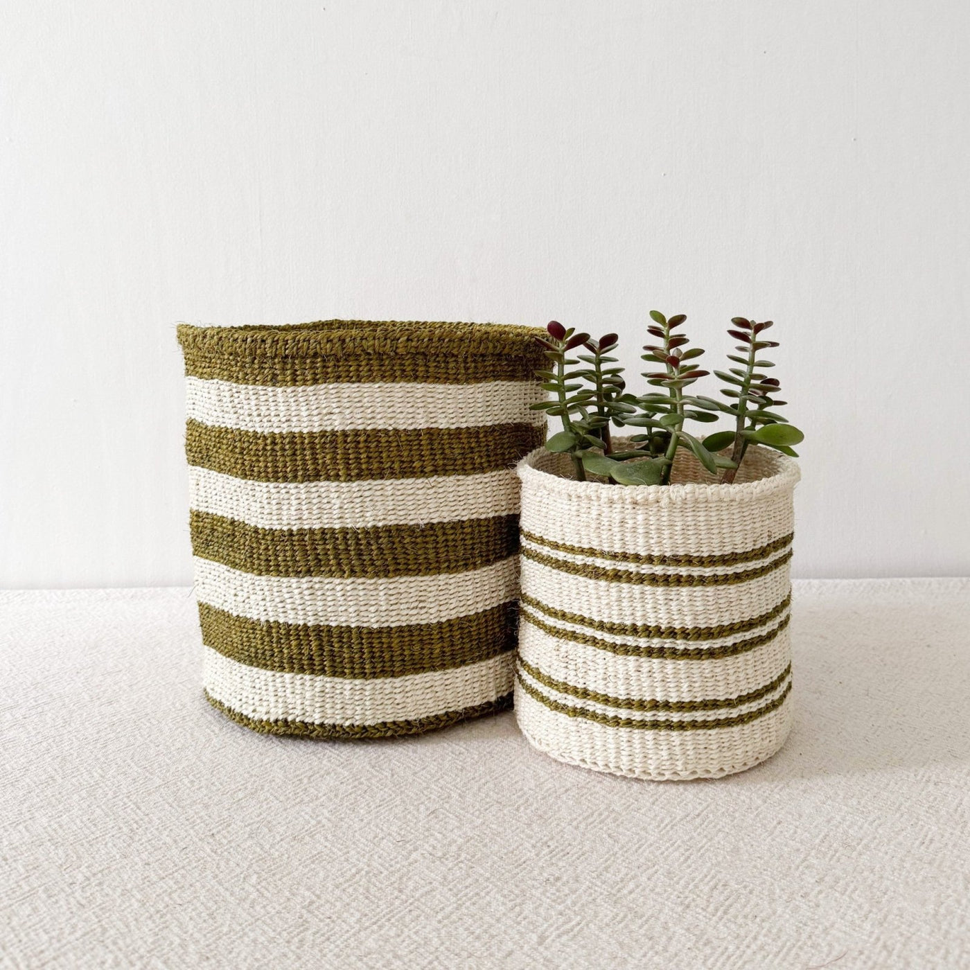 Storage Plant Basket: Olive Stripe