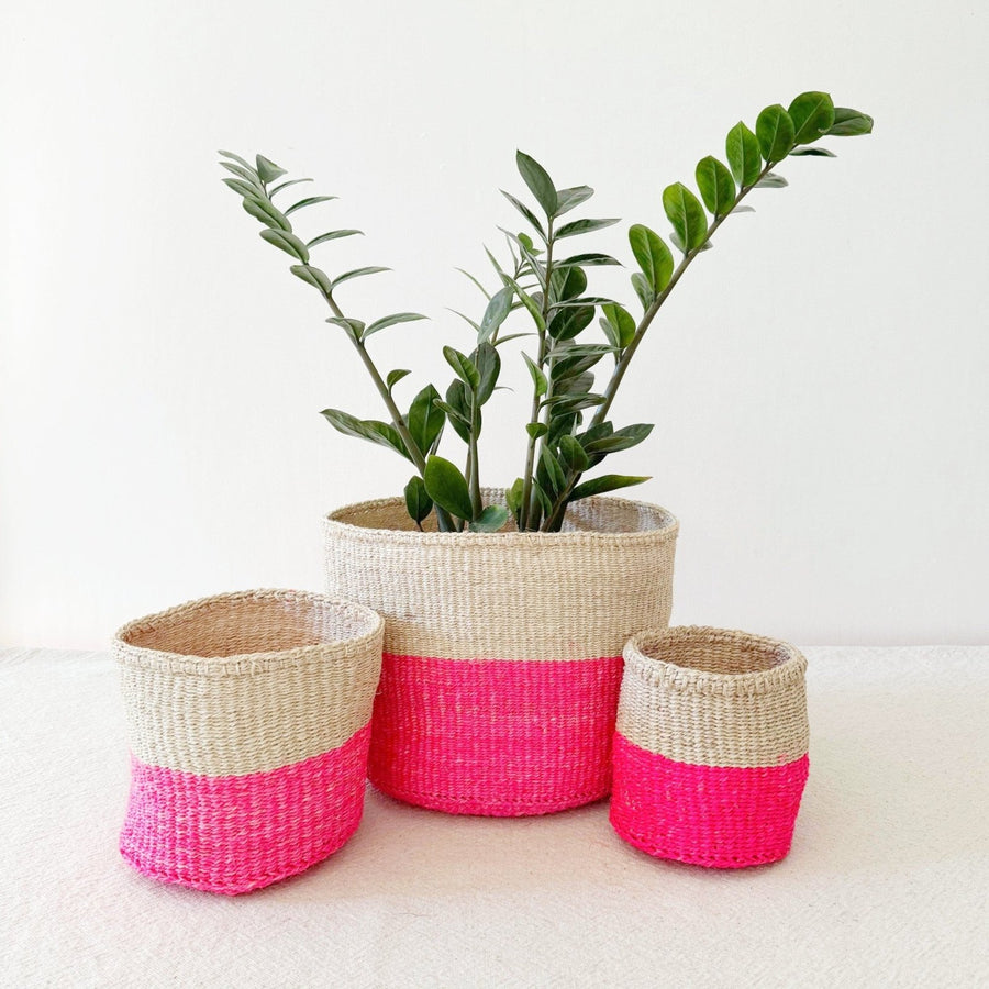 Storage Plant Basket: Pop of Pink - Amsha