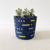 Storage Plant Basket: Ruvubu - Amsha