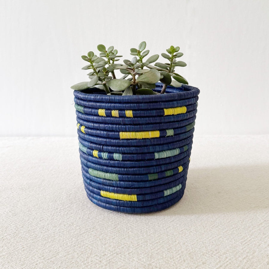 Storage Plant Basket: Ruvubu