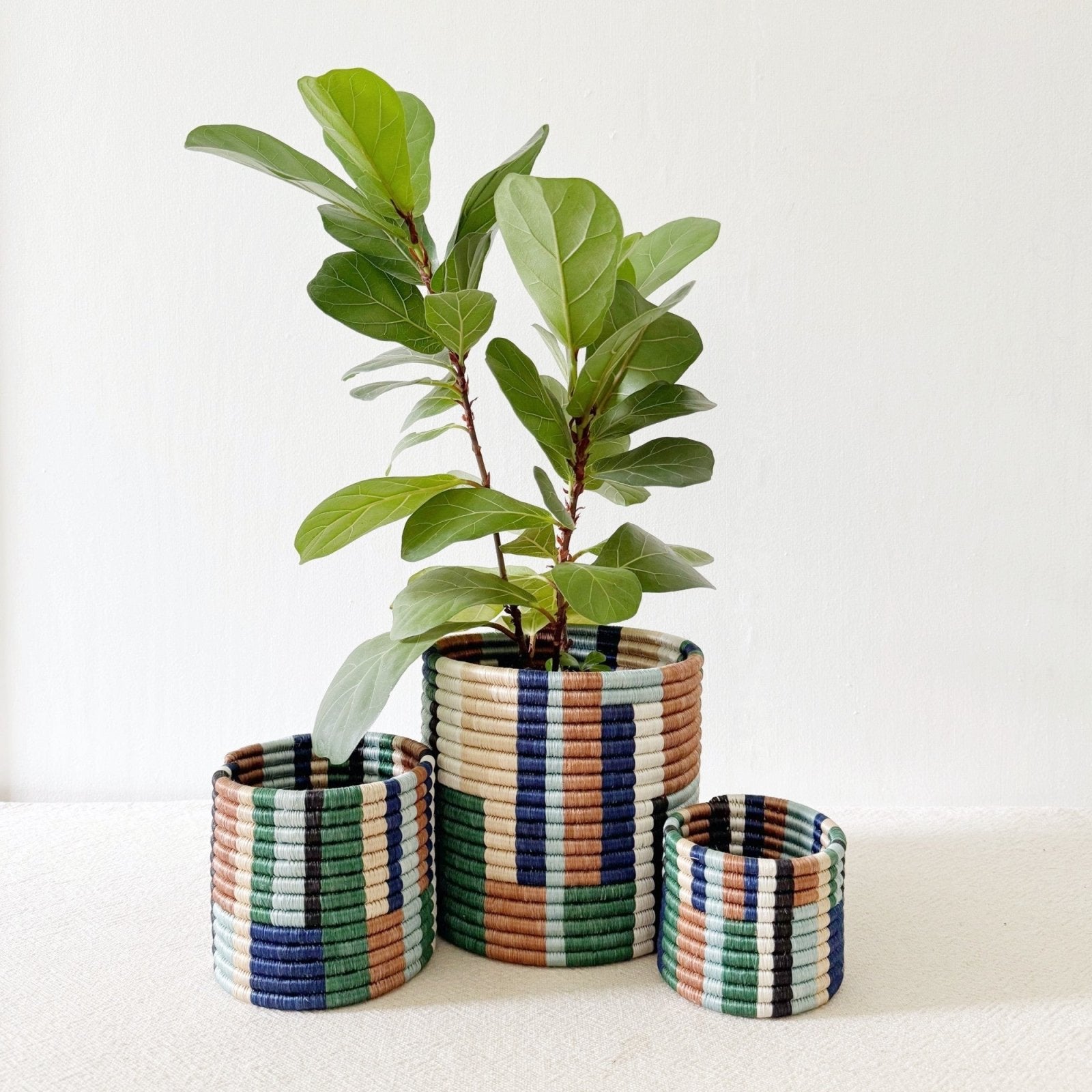 Storage Plant Basket: Shonga - Amsha