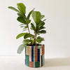 Storage Plant Basket: Shonga - Amsha