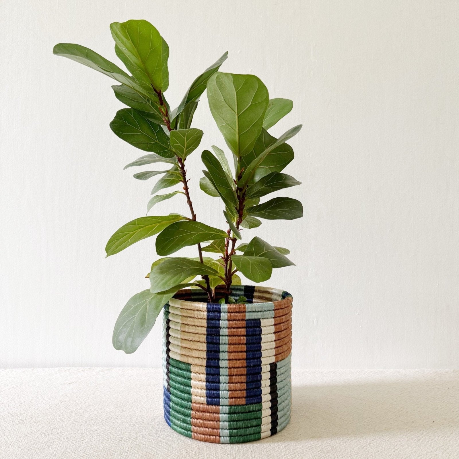 Storage Plant Basket: Shonga - Amsha