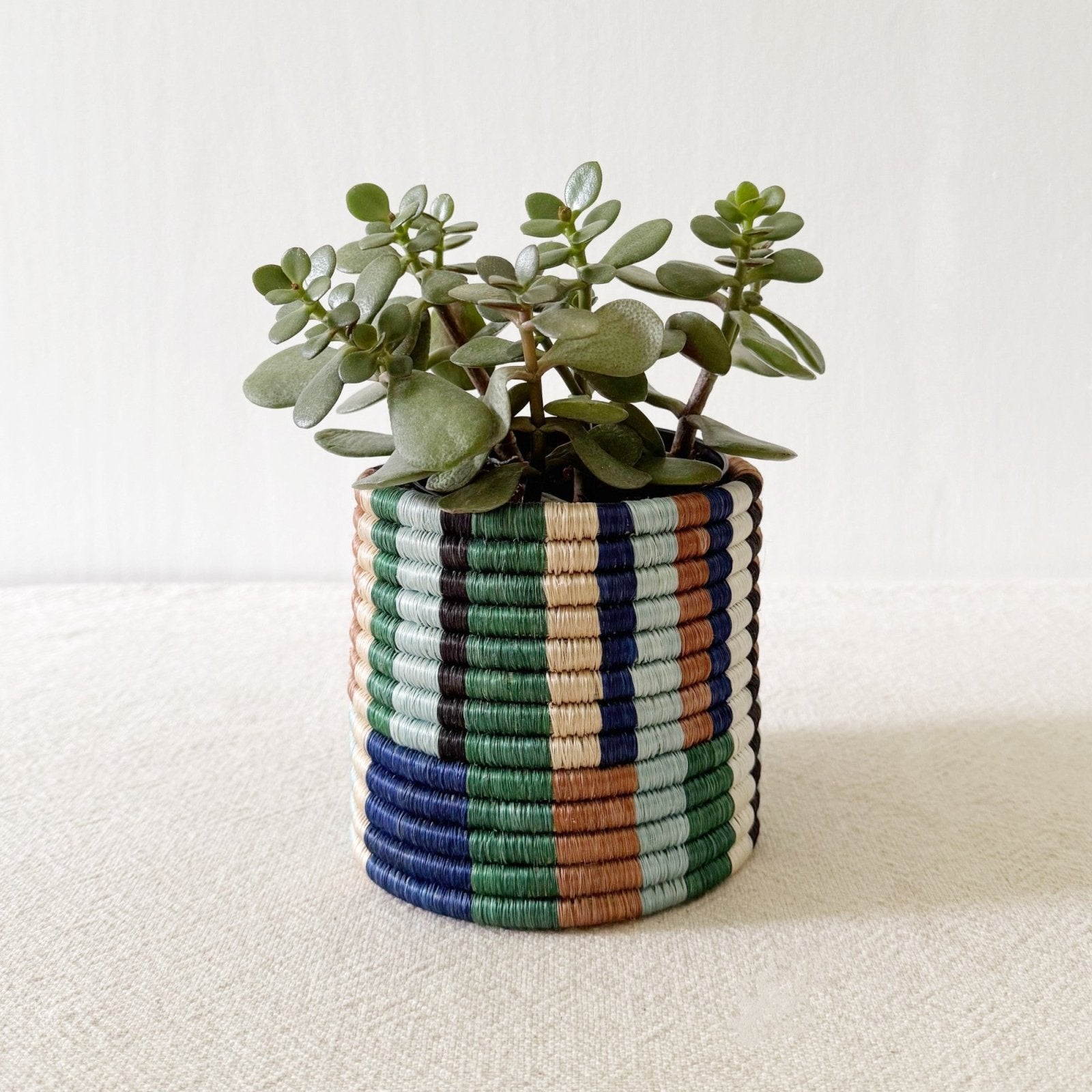 Storage Plant Basket: Shonga - Amsha