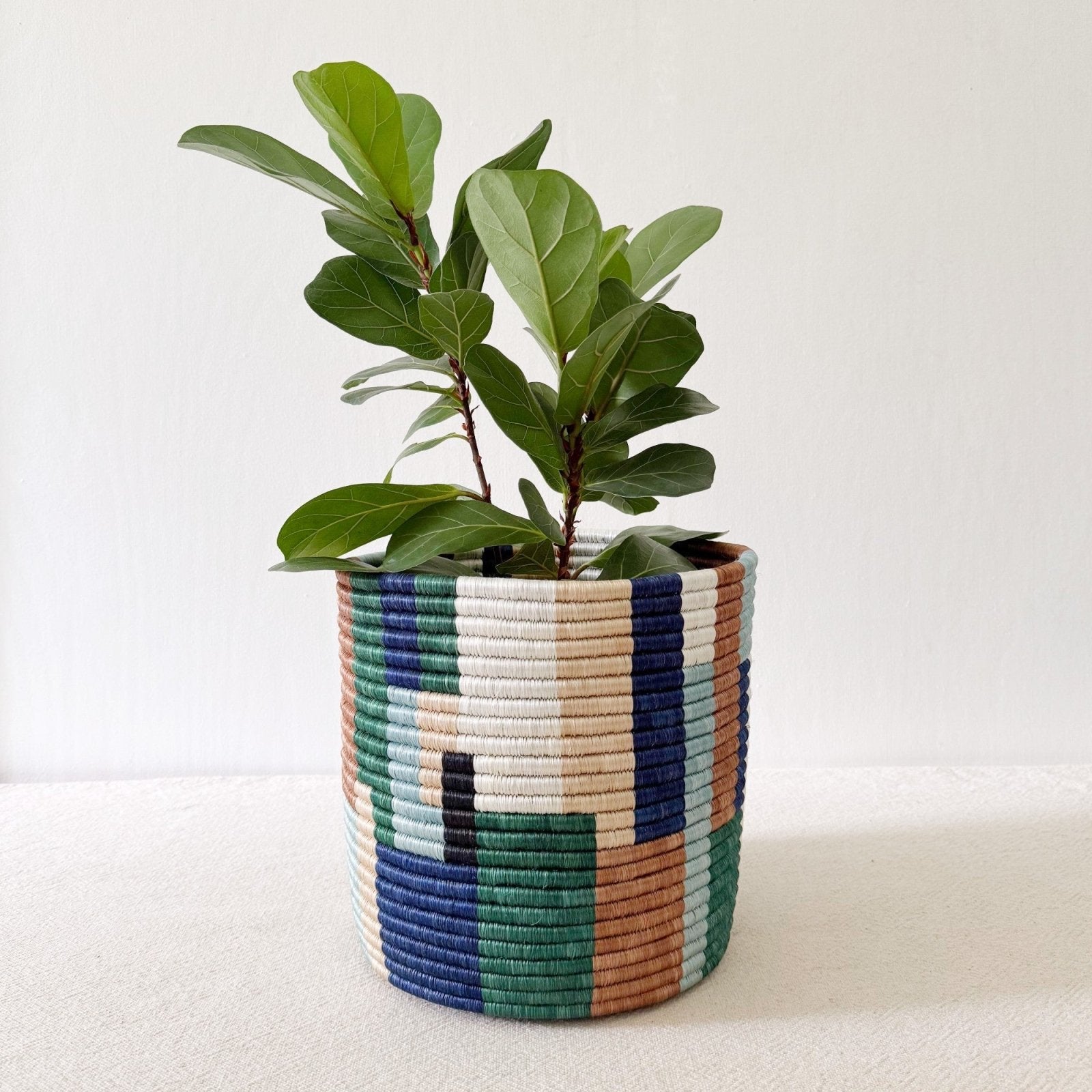 Storage Plant Basket: Shonga - Amsha