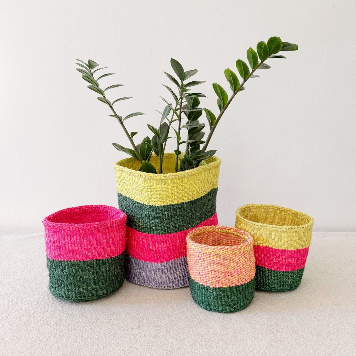 Storage Plant Basket: Tulip