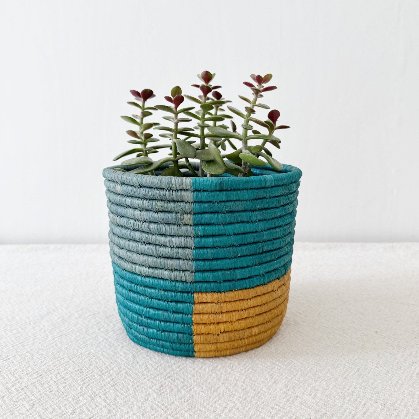 Storage Plant Basket: Uvombo - Amsha