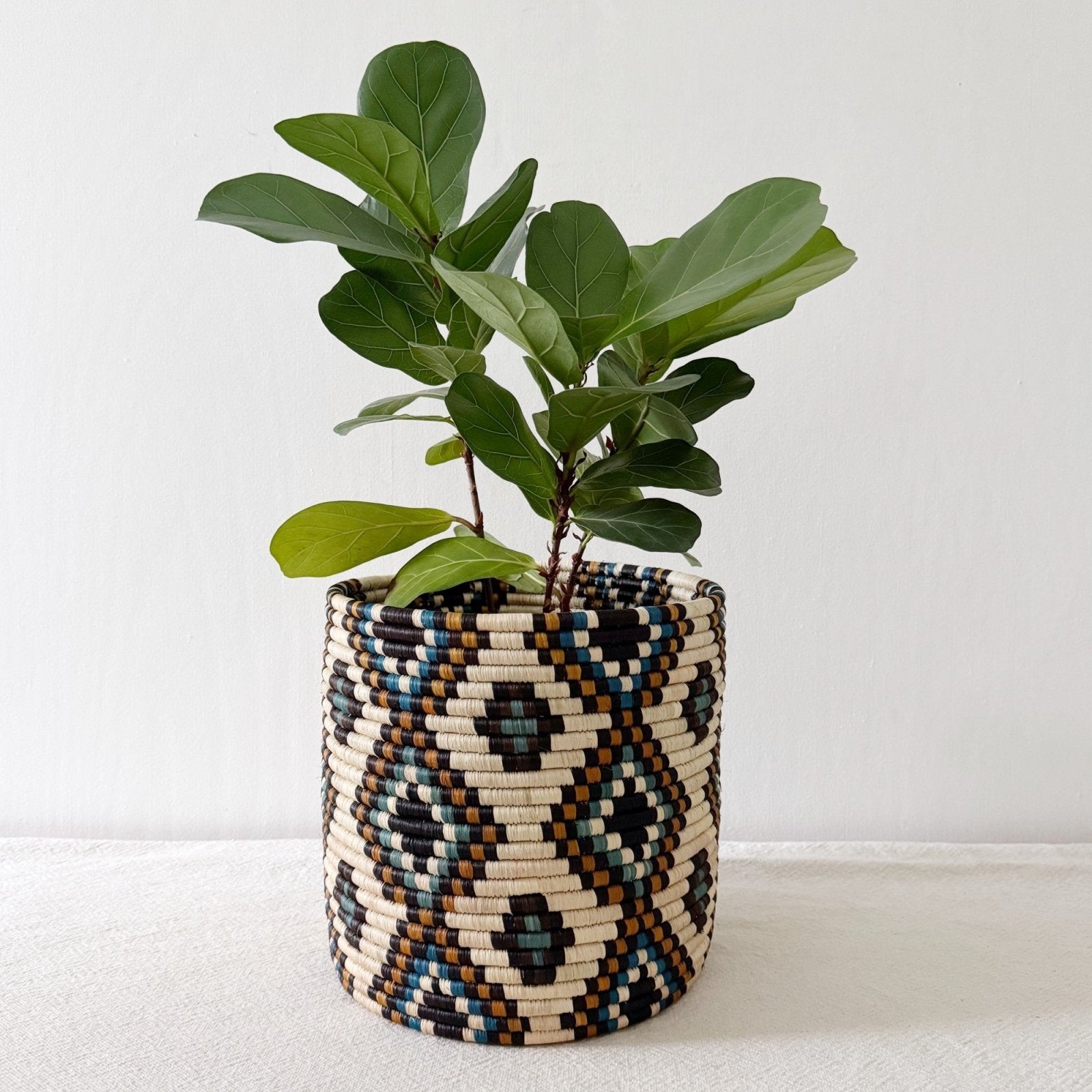 Storage Plant Baskets: Mukota - Amsha