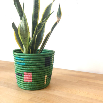 Storage Plant Basket: Beni