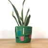 Storage Plant Basket: Beni