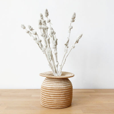 Buzingo Disc Vase - Amsha