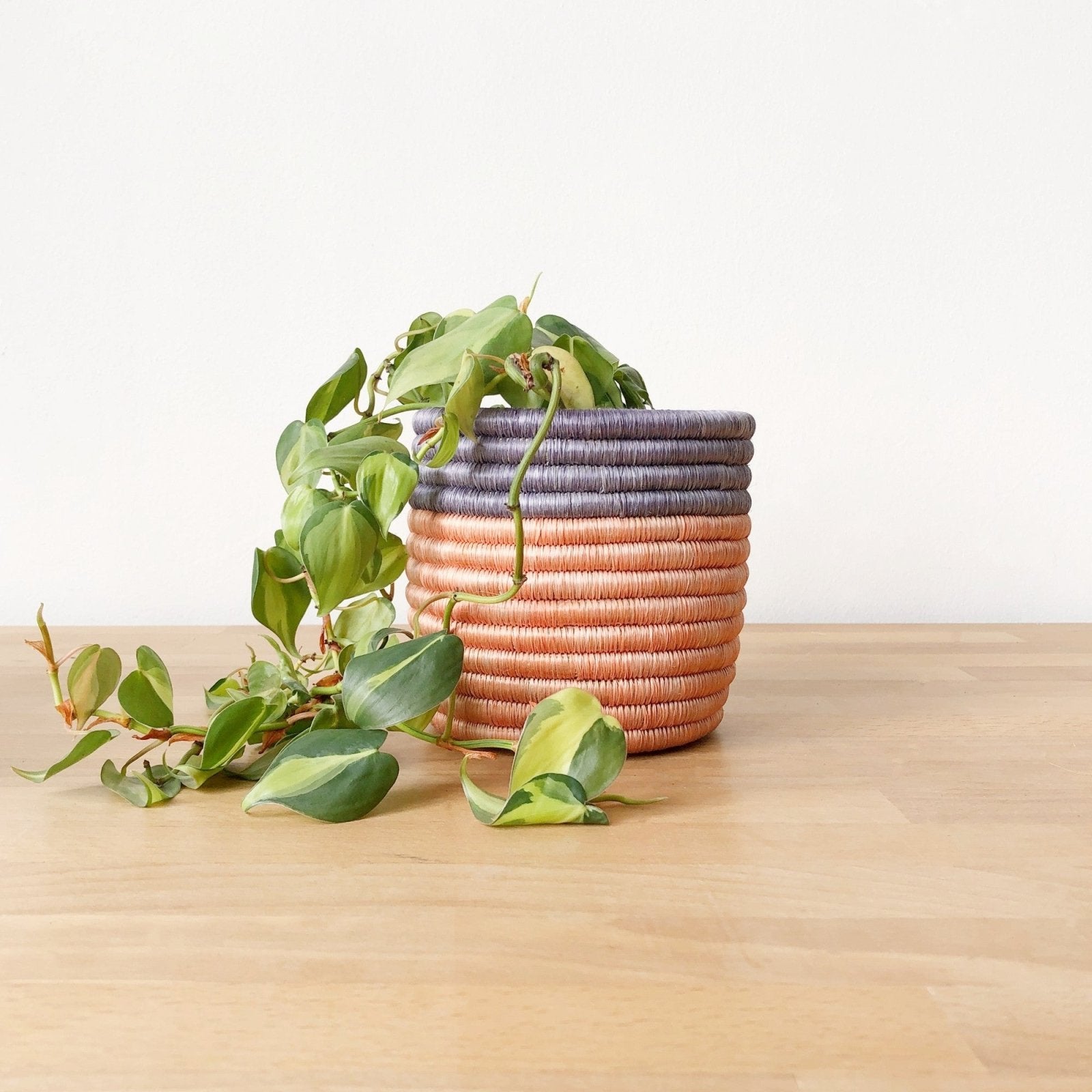 indoor planter baskets Storage Plant Baskets: Bweza