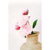 Classic Sweetgrass Vase - Amsha