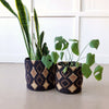 Storage Plant Basket: Gitega