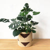 Handled Storage Plant Basket: Brick Triangle