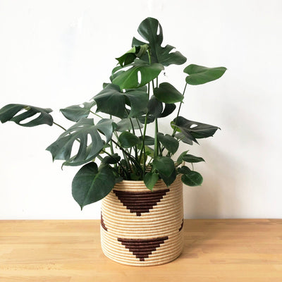 Handled Storage Plant Basket: Brick Triangle