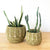Honey Pot Basket: Gafunzo