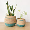 Honey Pot Basket: Maziba