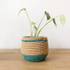 Honey Pot Basket: Maziba