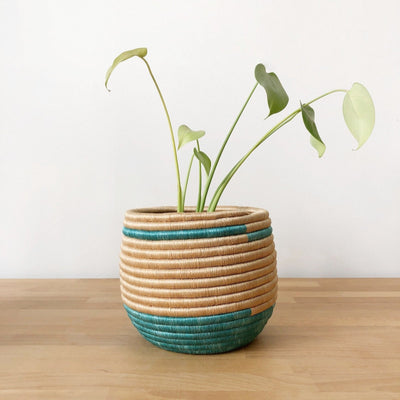 Honey Pot Basket: Maziba