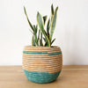 Honey Pot Basket: Maziba