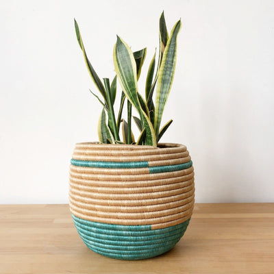 Honey Pot Basket: Maziba