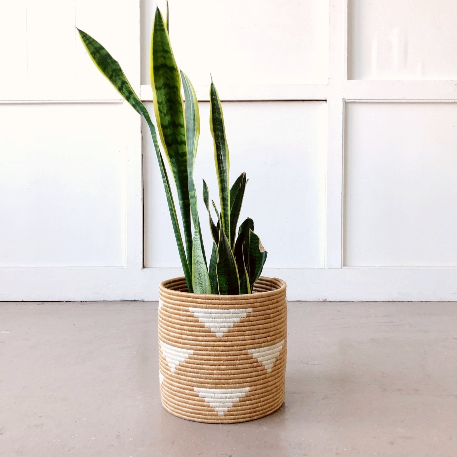 Storage Plant Basket: Ihema