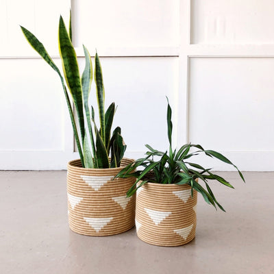 Storage Plant Basket: Ihema