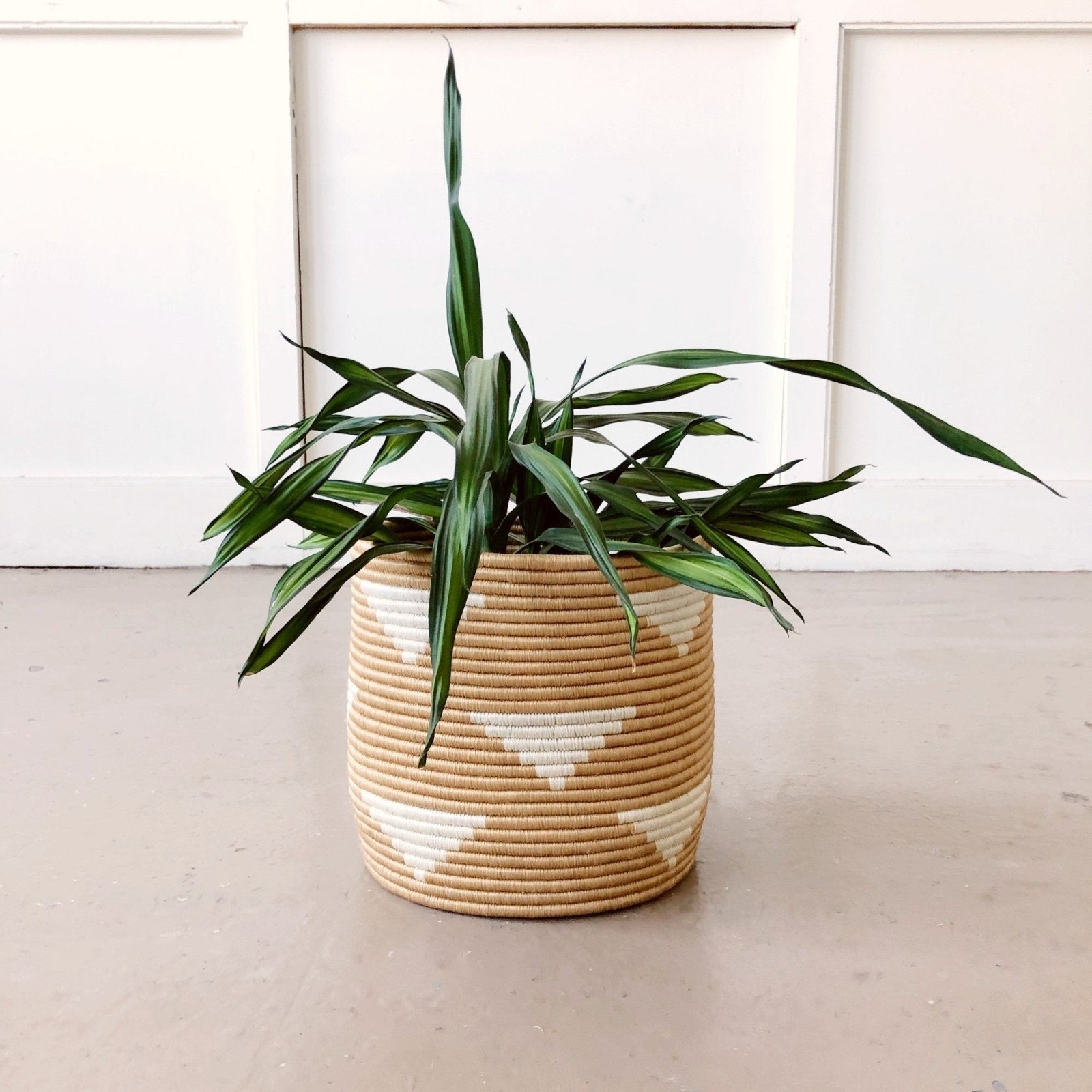 Storage Plant Basket: Ihema