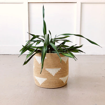 Storage Plant Basket: Ihema