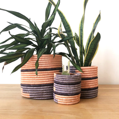 Storage Plant Baskets: Kibare