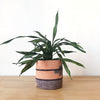 Storage Plant Baskets: Kibare