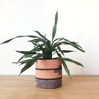 Storage Plant Baskets: Kibare
