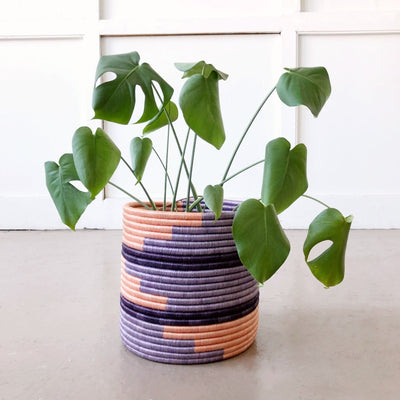 Storage Plant Basket: Kibare