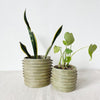 Kupanua Sweetgrass Planters - Amsha